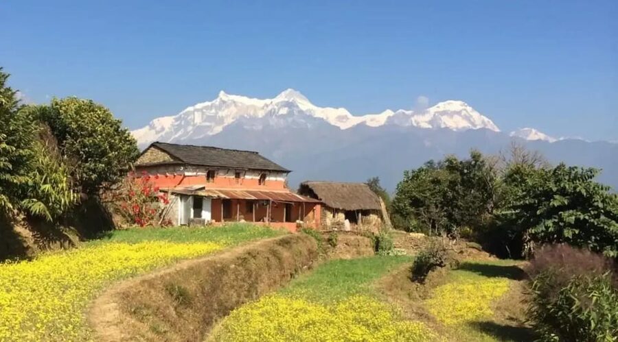 Pokhara : Easy Dhampus & Astam Village Day Hike - From Dhampus into the forests