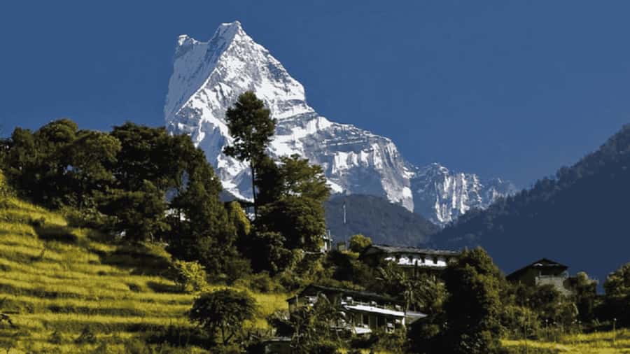 Pokhara: Guided Day Hike From Dampus To Australian Base Camp - Key points at a glance