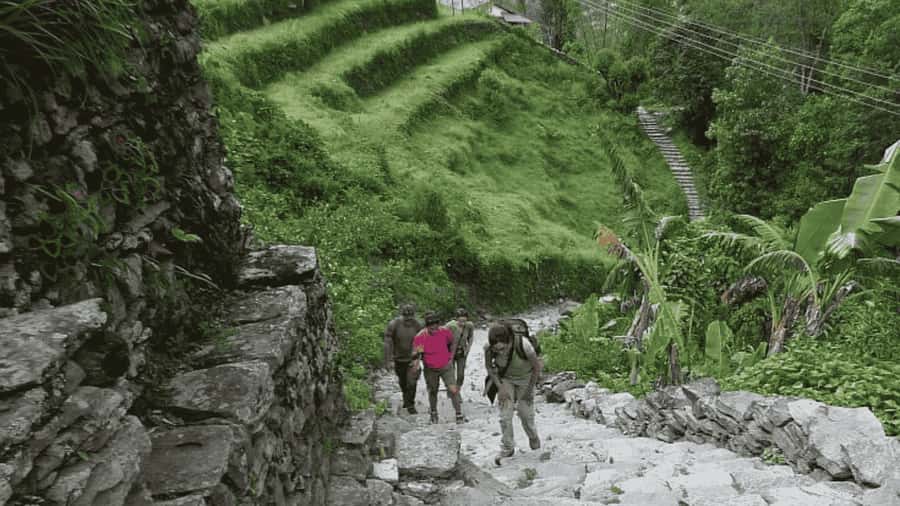 Pokhara: Guided Day Hike From Dampus To Australian Base Camp - Walking through Dhampus and the first forest section