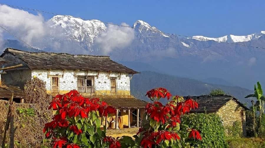 Pokhara: Guided Day Hike From Dampus To Australian Base Camp - Who should book this Dhampus hike