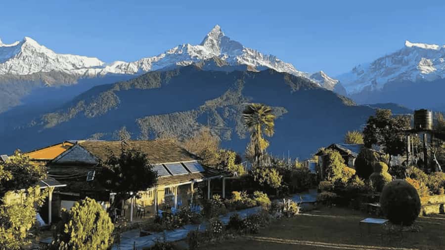 Pokhara: Guided Day Hike From Dampus To Australian Base Camp - The drive from Pokhara to Dhampus