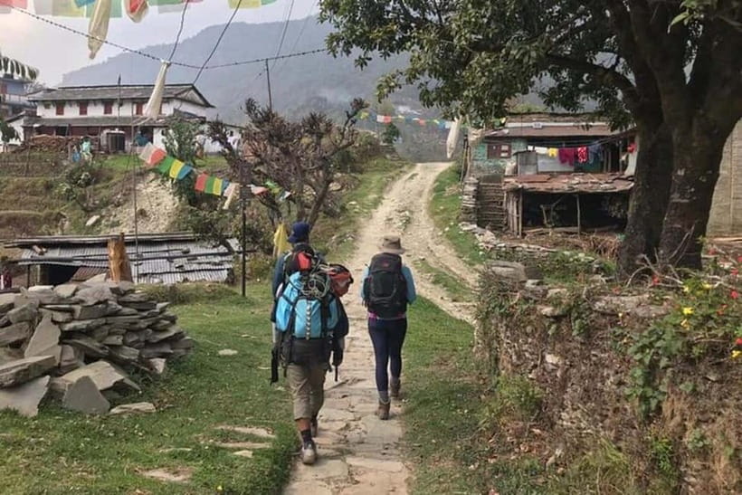 Pokhara: Hike To Australian Base Camp - The descent toward Phedi