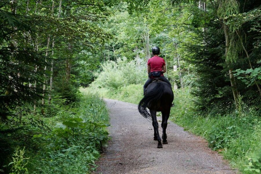 Pokhara: Horseback Adventure - Meeting the horses and settling into the ride
