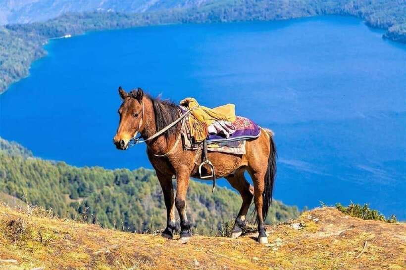 Pokhara: Horseback Riding Adventure with Hotel Pickup - Leaving Lakeside for a quieter Pokhara