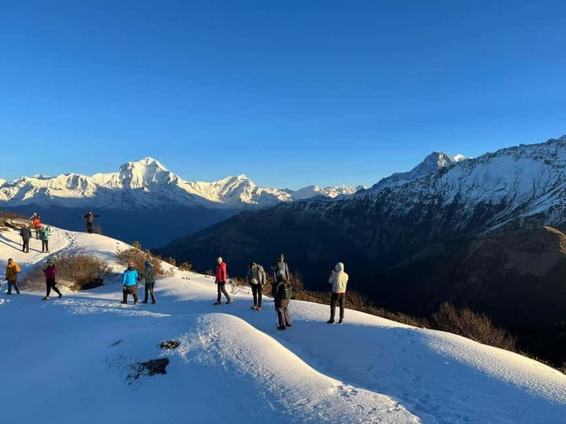 Pokhara: Majestic Mardi Base Camp Guided Trek with HotSpring - The forest climb to High Camp at 4,000 meters