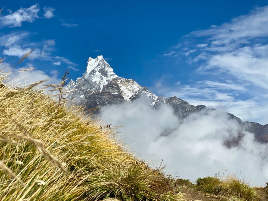 Pokhara: Majestic Mardi Base Camp Guided Trek with HotSpring - The 4:00 am climb to the 4,300-meter viewpoint