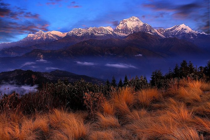 Pokhara: Poon Hill Ghorepani Short Trek - Day three: the 4:00 AM climb to Poon Hill