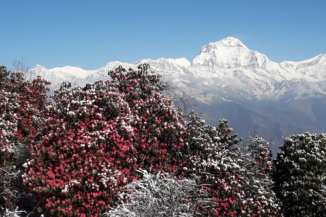 Pokhara: Poon Hill Ghorepani Short Trek - What to pack, and what not to assume