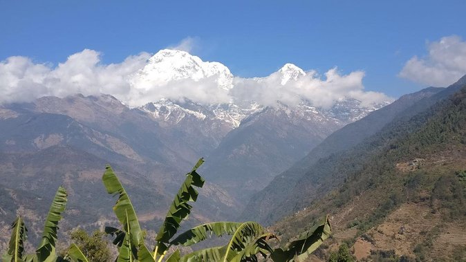 Pokhara: Poon Hill Ghorepani Short Trek - Day two: forests, green hills, and Ghorepani
