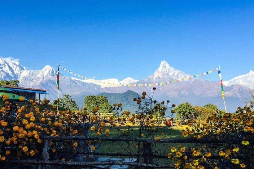 Pokhara: Poon Hill Trek - Day 1: Pokhara to Nayapool and uphill to Ulleri