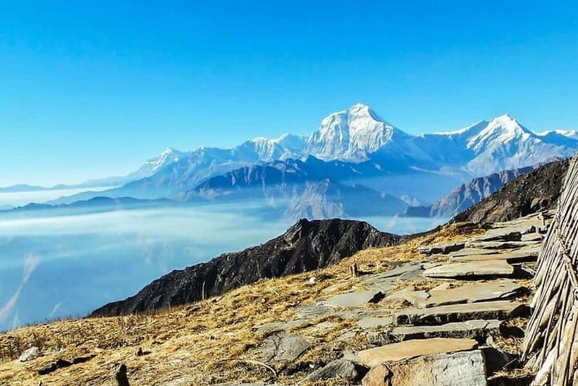 Pokhara: Poon Hill Trek - Day 2: Rhododendron forest from Ulleri to Ghorepani