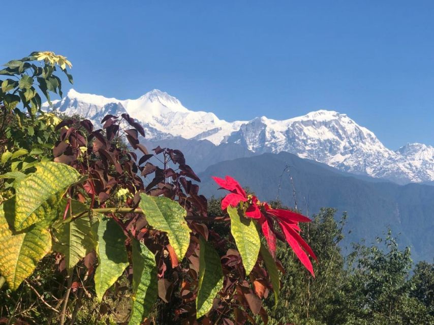 Pokhara: Sunrise Tour to Sarangkot - Who will get the most from this morning