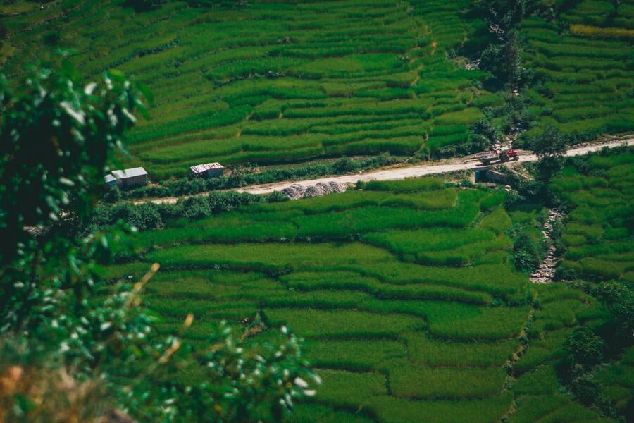 Pokhara: Suspension Bridge Private Tour- 30 Min Village Walk - The guide can change the feel of the trip
