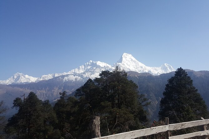 Poon hill Trek 3 days - Who Should Book This Trek