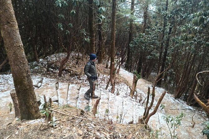 Poon Hill Trek from Pokhara 4 Days - Who should book this trek?