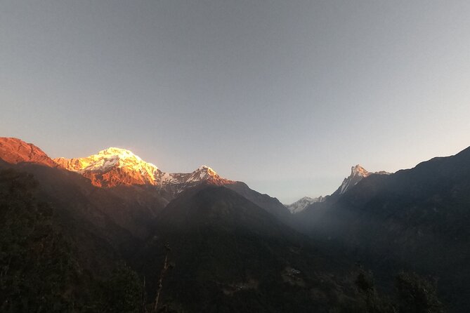 Private 7 - Day Annapurna Base Camp Trekking - Day 2: Chhomrong’s stone steps and Bamboo