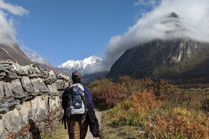 Private 8 - Day Langtang Trekking - Day 6: Returning through the forest to Lama Hotel