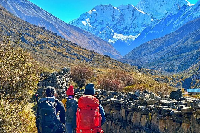 Private 8 - Day Langtang Trekking - Day 7: Lama Hotel to Syabrubesi