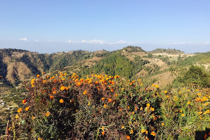 Private Day Tour - Sacred Journey to Namo Buddha - Timing, comfort, and small practical matters