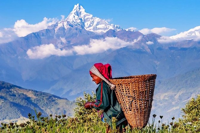 Private Full-Day Hike in the Annapurna Foothills in Pokhara - From Lakeside Pokhara to the Annapurna foothills