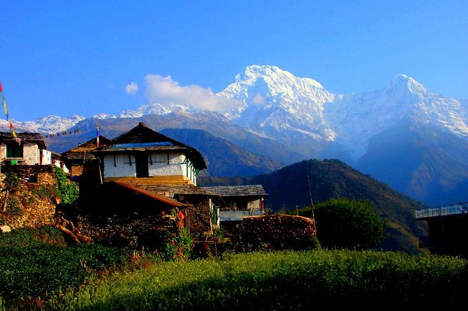 Private Full-Day Hike in the Annapurna Foothills in Pokhara - Climbing through forest to Dhampus village