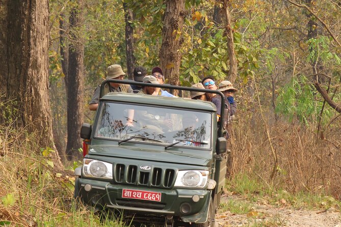 Private Jeep Safari (8-10 hrs.)inside Chitwan National Park. - A full day inside Chitwan National Park