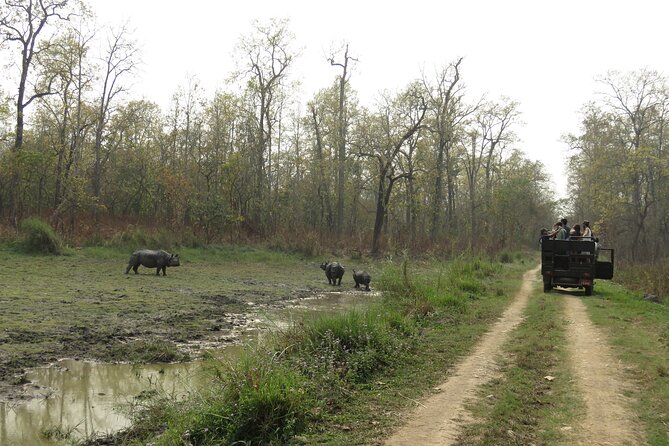 Private Jeep Safari (8-10 hrs.)inside Chitwan National Park. - Lunch in the middle of the park