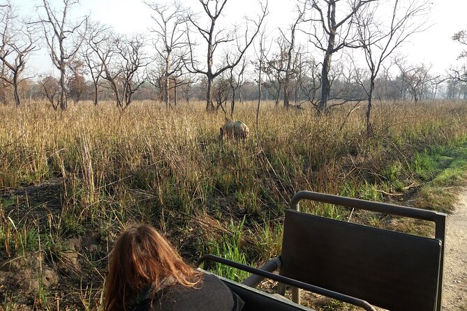 Private Jeep Safari (8-10 hrs.)inside Chitwan National Park. - The best months to book