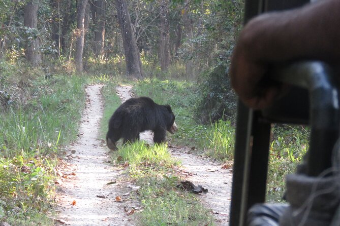 Private Jeep Safari (8-10 hrs.)inside Chitwan National Park. - The jeep ride and private format