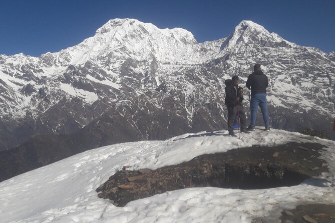 Private Mardi Himal Trek - Guides, porters, and the private format