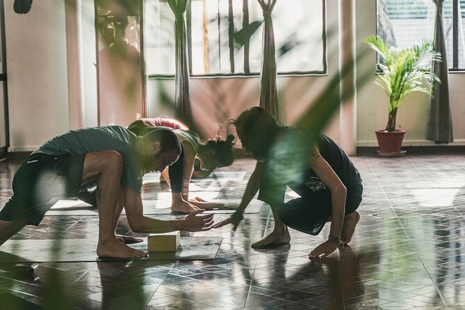 Regular Yoga for all levels of practitioners in Kathmandu - A 75-minute Vinyasa session in central Kathmandu