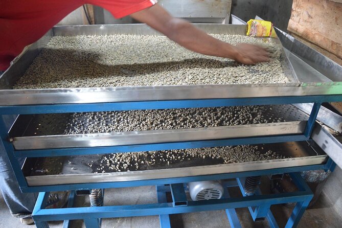 Sarangkot Village Coffee Culture and Authentic Local Life Tour - Seeing coffee from plant to cup