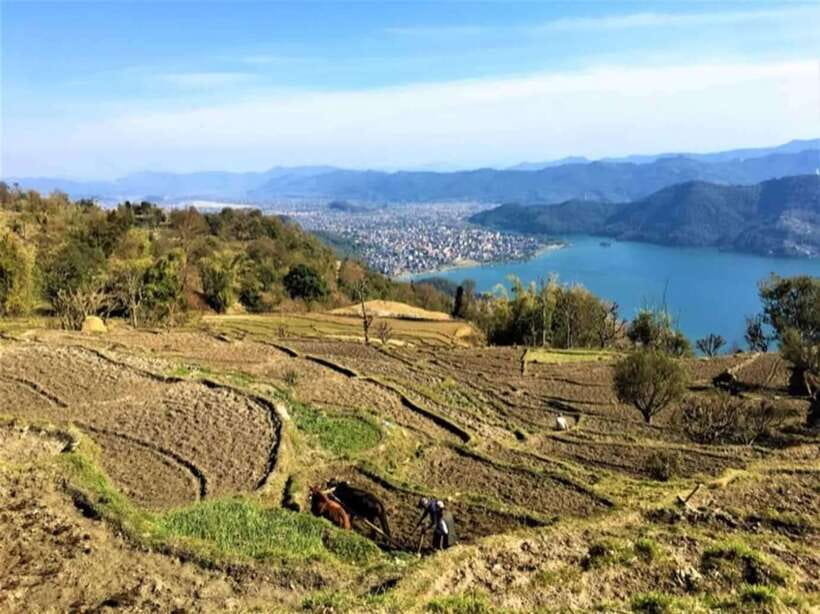 Seti George and Thrilling Suspension Bridge Tour at Pokhara - Practical Booking Advice