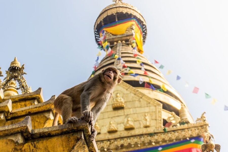 Spiritual Nepal: Expert insight into Multifaith Journey - Practical clothing and comfort advice