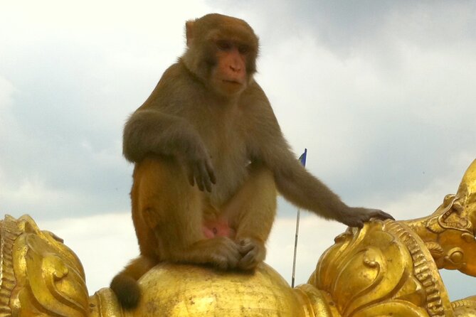 TOP 4 UNESCO World Heritage Sites Tour - Swayambhunath: Kathmandu views from the hilltop