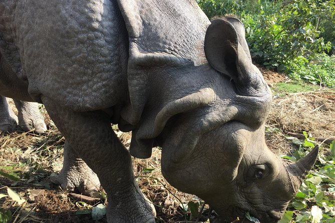Wildlife Adventure in Chitwan Nepal - Arriving in Chitwan and getting settled
